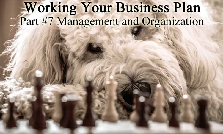 Updating Your Business Plan for 2019 Part 7 - Management & Organization