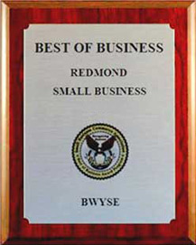 Best of Business Award bWyse