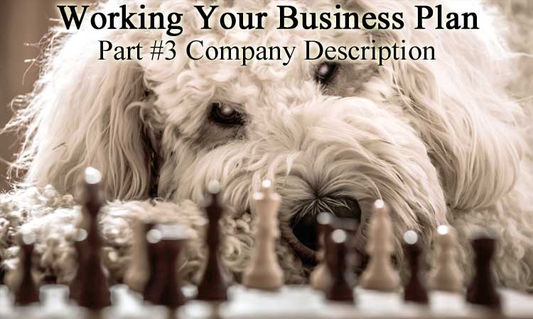 Updating Your Business Plan for 2022 Part 3 - Company Description