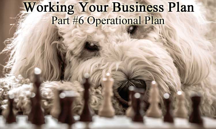 Updating Your Business Plan for 2020 Part 6 - Operational Plan