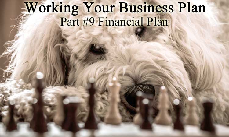 Updating Your Business Plan for 2023 Part 9 - Financial Plan